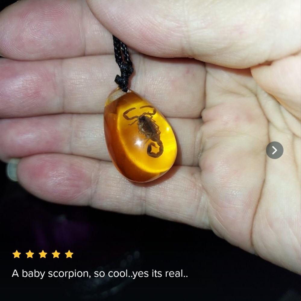 Scorpion Necklace